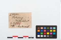 Etikett zu Bronzeknopf (NHMW-PRAE-024441)